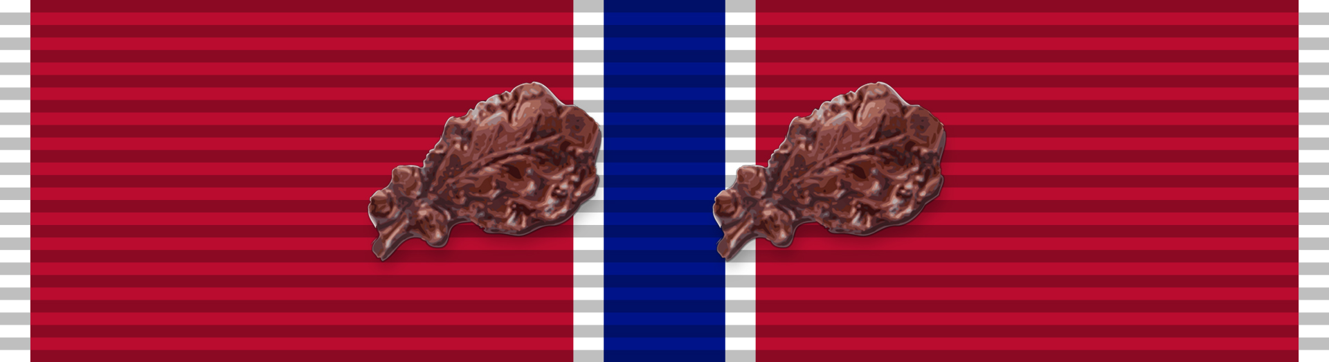 Bronze Star Medal