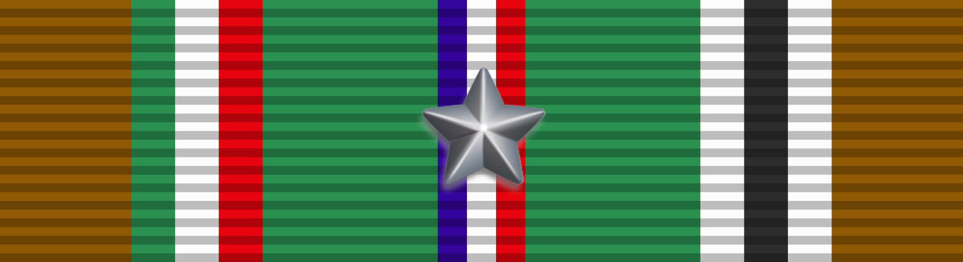 European African Middle Eastern Campaign Medal with one Silver campaign star