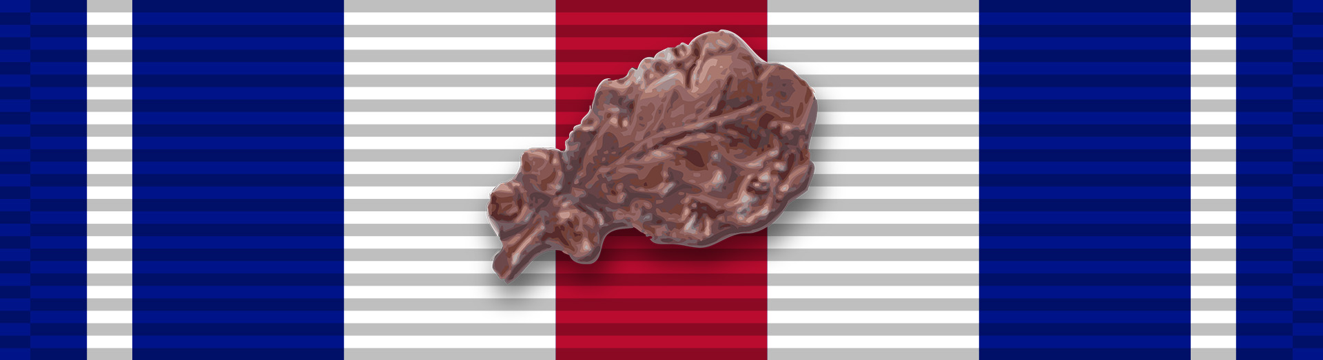 Good Conduct Medal